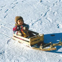  Familienurlaub Reiterhof Zum Hammerschmied Gasthof Fotos
