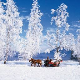 Außenansicht Anzengruber Fotos
