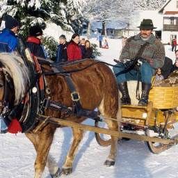  Lausegger Gasthof Fotos