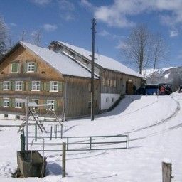  Knusperhütte Hütte Fotos