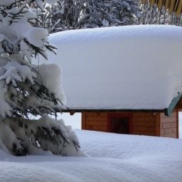  Bauernhof Almgut Ferienwohnungen Fotos