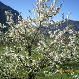 Vue Bauernhof Ennsmanngut - Urlaub am Bauernhof Fotos