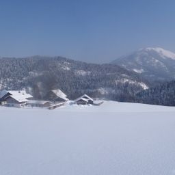 View Bauernhof Privatvermieter Maria Tanzberger Fotos