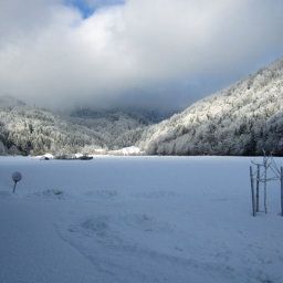  Bauernhof Dichtlbauer Fotos