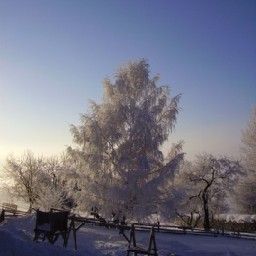  Bauernhof NaturparkBauernhof Familie Sperl Fotos