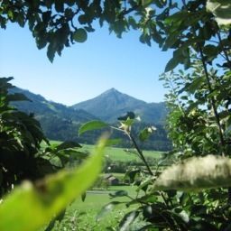  Bauernhof Am Erholungsbauernhof Noeglhof Fotos