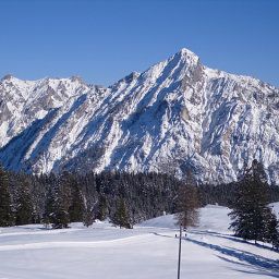  Bauernhof Abschalten und Ausruhen beim Paulbauer Fotos