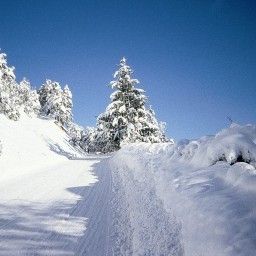  Bauernhof Albeineler Kinder Bauernhof Pitztal in Tirol Fotos