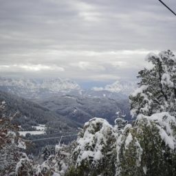  Bauernhof Tengghof Fotos