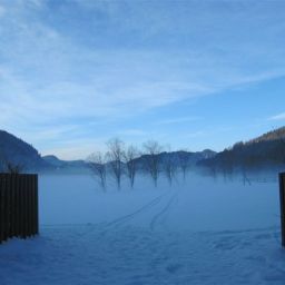  Landgasthof Fischerwirt Fotos