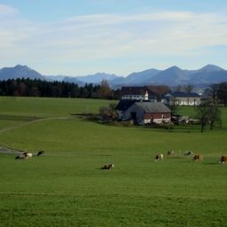 Vue Bauernhofferien Oberdürnberg Fotos