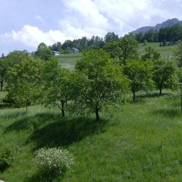 Vue Bauernhof Hansenmann Fotos