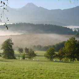 Ausblick Seepark Drobollach Pension Fotos