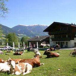 Außenansicht Siggen Gasthof Fotos
