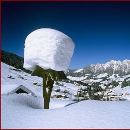 Alpbach Pension Edelweiss Fotos