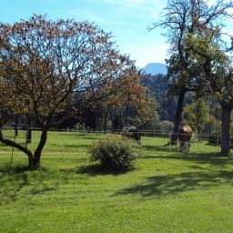 Ausblick Bauernhof Knoblechner (Fam. Aichriedler) Fotos