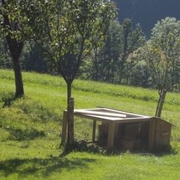  Bauernhof Knoblechner (Fam. Aichriedler) Fotos