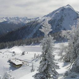  Bauernhof Bankwirt Fotos