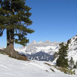  Bauernhof Bankwirt Fotos