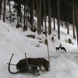  Bauernhof Bankwirt Fotos