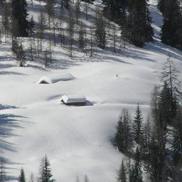  Bauernhof Bankwirt Fotos
