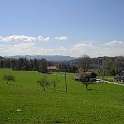 Ausblick Pritzl Gasthof u. Gästehaus Fotos