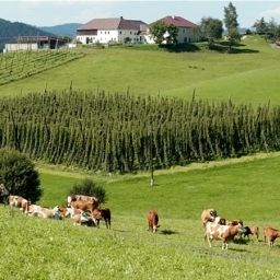 Panorama Diendorfer Gasthof Fotos