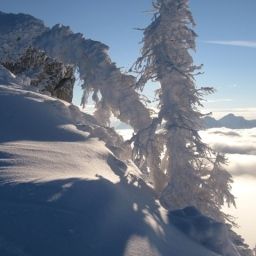  Wallner Zimmer mit Bergblick Fotos