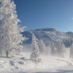  Wallner Zimmer mit Bergblick Fotos