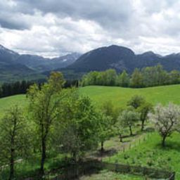  Bauernhof Ferienhof Berger Fotos