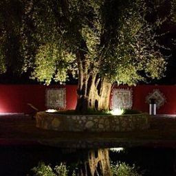 Garden Poggio degli Ulivi Fotos
