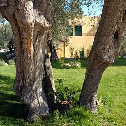 Garden Poggio degli Ulivi Fotos