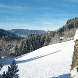  Bauernhof Grundnerhof Fotos