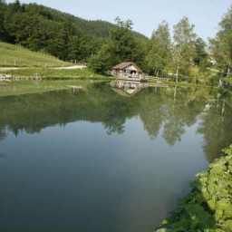  Forellenhof Holzinger Gasthof Fotos