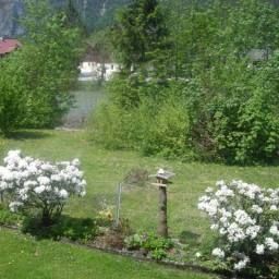 Ogród Dachsteinhof Gasthof Fotos