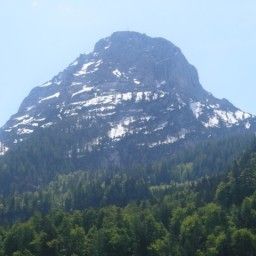 Widok z hotelu Dachsteinhof Gasthof Fotos