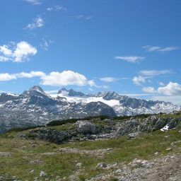  Dachsteinhof Gasthof Fotos