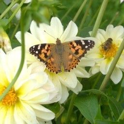 Widok zewnętrzny Bauernhof Ferienhof Osl Fotos