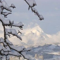 View Bauernhof Grüblerhof -Wohlfühlurlaub Fotos