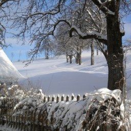  Bauernhof Grüblerhof -Wohlfühlurlaub Fotos