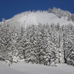 Bauernhof Grüblerhof -Wohlfühlurlaub Fotos