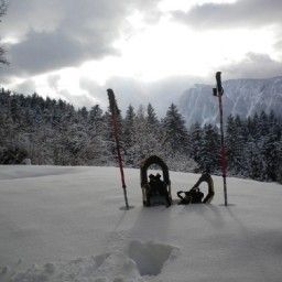  Bauernhof Grüblerhof -Wohlfühlurlaub Fotos