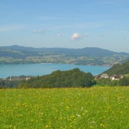 View Bauernhof Pension Schöberingerhof Fotos