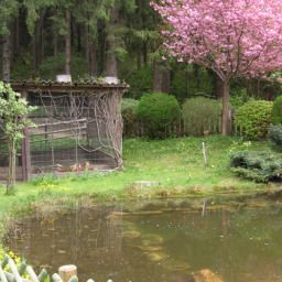  Bauernhof Eberler / Dani's Ziegenhof Fotos