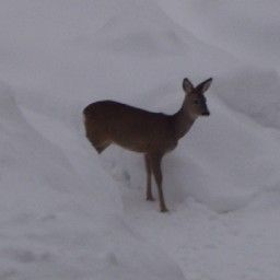  Bauernhof Angererhof Fotos