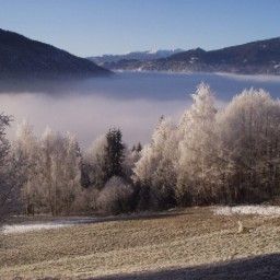  Bauernhof Angererhof Fotos