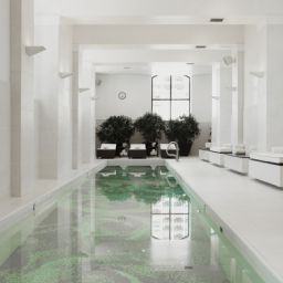 Pool Waldorf Astoria Chicago Fotos