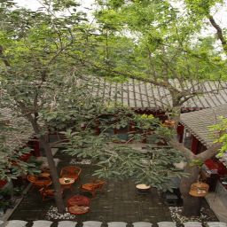  Ji House Courtyard Fotos