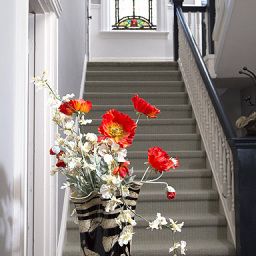 Hall Cabot House Fotos