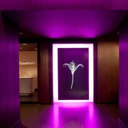 Zona Wellness theWit Chicago  a DoubleTree by Hilton Hotel Fotos
